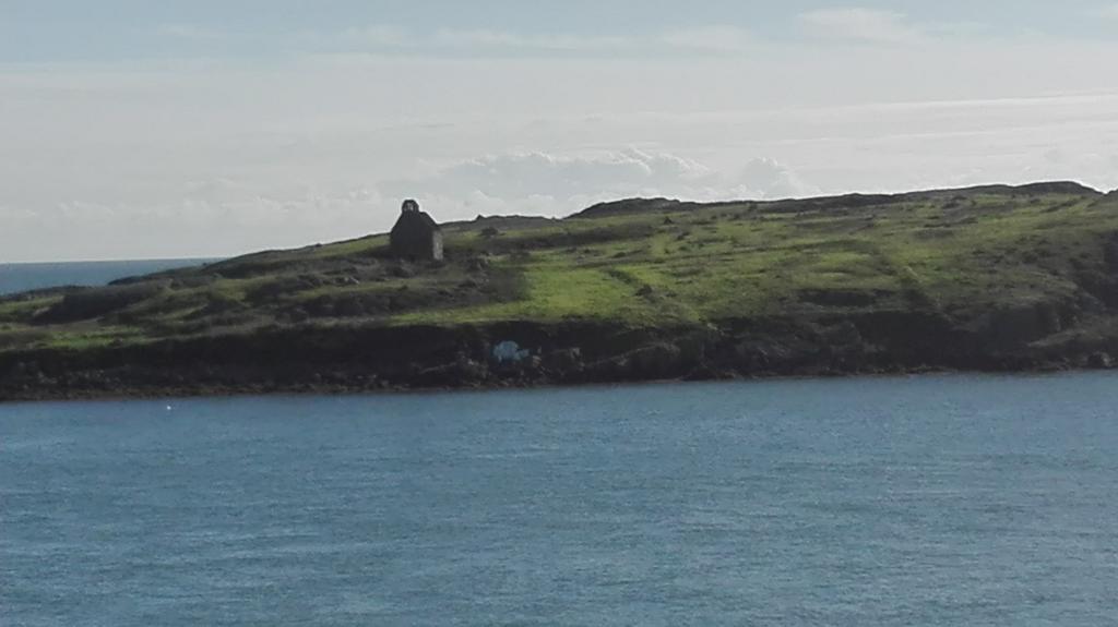 The Dell Dublin Bed & Breakfast ดุนเลรี ภายนอก รูปภาพ