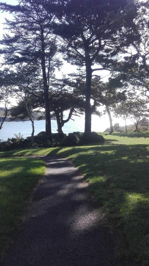 The Dell Dublin Bed & Breakfast ดุนเลรี ภายนอก รูปภาพ
