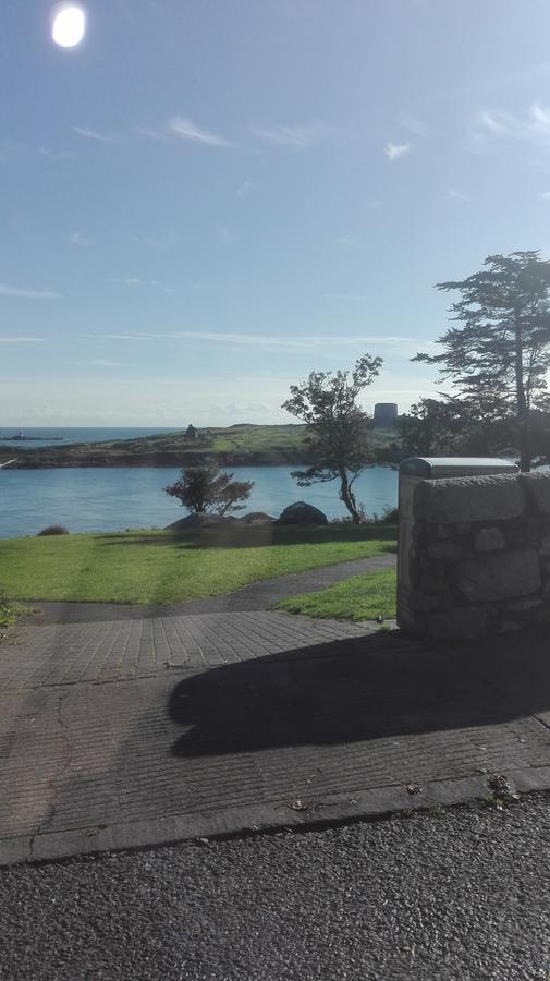 The Dell Dublin Bed & Breakfast ดุนเลรี ภายนอก รูปภาพ